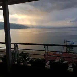 Kelvi's , Pogradec Albanien